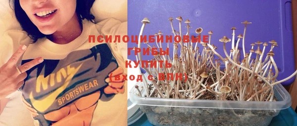 прущая мука Алексеевка