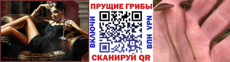 Галлюциногенные грибы ЛСД  Прохладный 