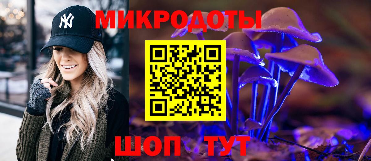 Галлюциногенные грибы MAGIC MUSHROOMS Прохладный