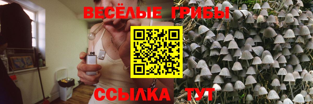 Псилоцибиновые грибы Psilocybe  Вход с VPN  Прохладный 